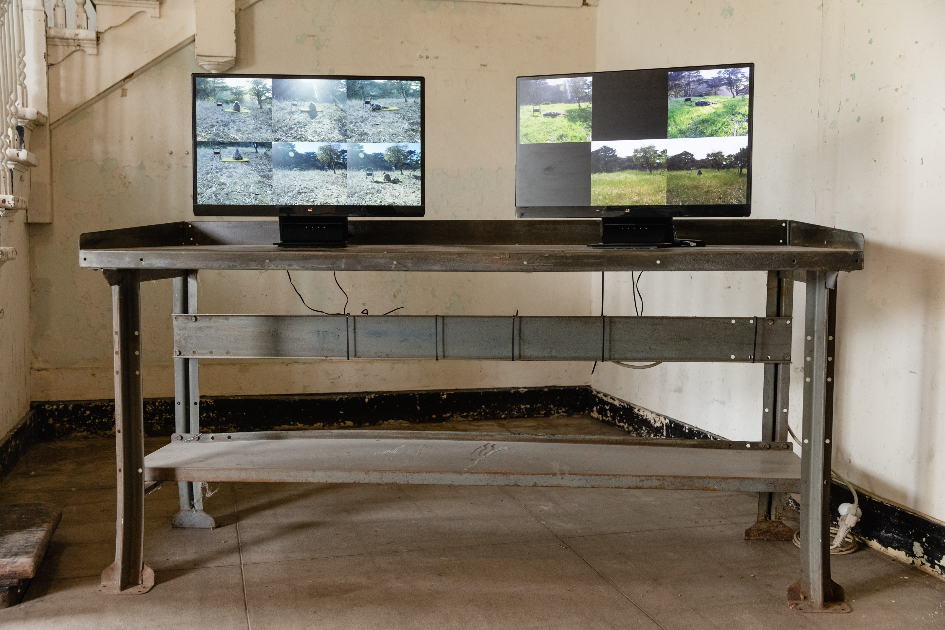 084_Headlands-Center-for-the-Arts052321_AndriaLo